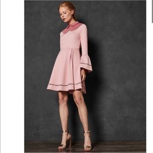 Ted Baker Ladder Lace Skater Dress